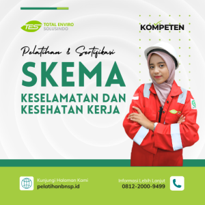 K3 (HSE)